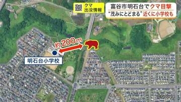 富谷市の小学校周辺でクマ目撃　連日の出没に警戒高まる　宮城県は独自の「特別警報」を新設