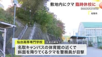 仙台高専で子グマ目撃 体育館近くに…臨時休校　今週末まで登校禁止でオンライン授業へ〈宮城〉