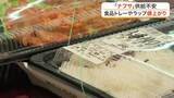 「ラップ高騰で弁当を輪ゴムで…ナフサ供給不安が宮城のスーパーやパン屋を直撃　価格維持へ苦渋の工夫続く」の画像1