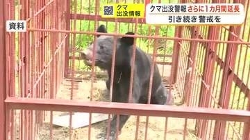 クマ出没「慣れ」による油断に注意　宮城県が「クマ出没警報」さらに１カ月延長　６月目撃数が過去平均超え