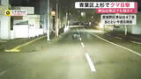 「仙台放送の近くにもクマ出没　東仙台では県道横断の瞬間をドラレコが捉える」の画像1