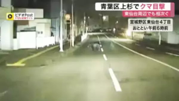 仙台放送の近くにもクマ出没　東仙台では県道横断の瞬間をドラレコが捉える