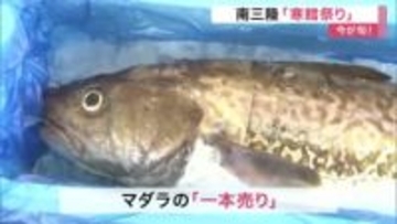 「南三陸のタラは特別においしい」今が旬！宮城・南三陸町で「寒鱈祭り」開催　“タラ尽くし”の会場賑い