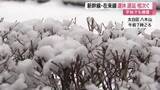「宮城県内で雪や雨 平地でも積雪　東北新幹線や在来線など交通機関に影響 午後は曇り空となる見込み」の画像1