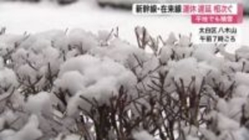 宮城県内で雪や雨 平地でも積雪　東北新幹線や在来線など交通機関に影響 午後は曇り空となる見込み