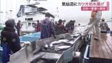 「日本一奪還へ　気仙沼市魚市場で今季初カツオ３１トン水揚げ　市場は活気〈宮城〉」の画像1