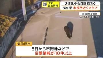気仙沼市の市街地でクマの目撃１０件以上　市役所近くにも出没　３連休の観光客も警戒〈宮城〉