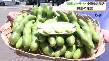 １年に今だけの特別な味　村田町のソラマメを全国に届ける「そら豆ゆうパック」の出発式が道の駅で〈宮城〉