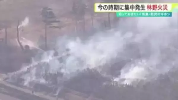 岩手・大船渡の林野火災から１年　２月～５月は火災多発期　人為的要因が招く大規模化の脅威〈宮城〉