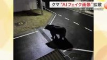 「ＡＩで作った」本人告白…女川町のクマ画像はフェイク　目撃情報も虚偽…保育所にはバリケードも〈宮城〉