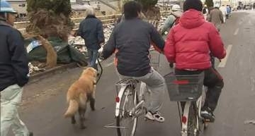 「災害時、ペットを置いて逃げることはできない」　備えている飼い主はわずか2割　避難の際に大切な家族を守るために