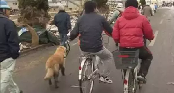 「災害時、ペットを置いて逃げることはできない」　備えている飼い主はわずか2割　避難の際に大切な家族を守るために
