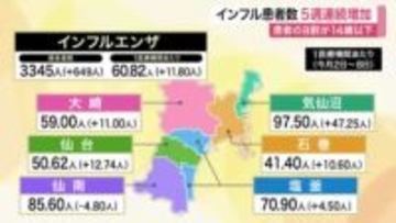 宮城県インフルエンザ５週連続増　１４歳以下が８割　Ｂ型流行が拡大