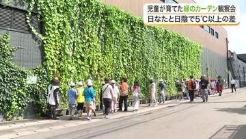 緑のカーテンで気温差５℃以上　泉区の商業施設で観察会　児童も効果を実感〈仙台市〉