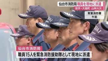 岩手県大槌町の山林火災で延焼続く　仙台市消防局が緊急消防援助隊として職員１５人を現地へ派遣