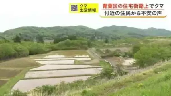 「道路からやぶに入っていくクマを見た」青葉区でクマ出没　警察が付近を警戒〈仙台市〉