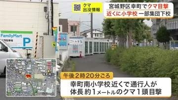 宮城野区の小学校近くで体長約１メートルのクマを目撃　児童は集団下校の対応　周囲は警戒強化〈仙台市〉