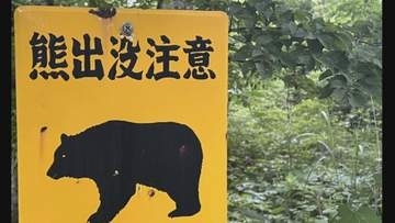 【速報】宮城県の「クマ出没注意報」と仙台市青葉区の「クマ出没警報」解除へ　引き続き対策呼びかけ
