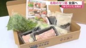 「シャキシャキ食感」が魅力　宮城県名取市の“セリ鍋”が全国へ　鶏・鴨のセット７種類〈宮城〉