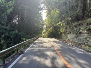 【速報】二口街道に複数の倒木　通行止め続く　仙台市太白区