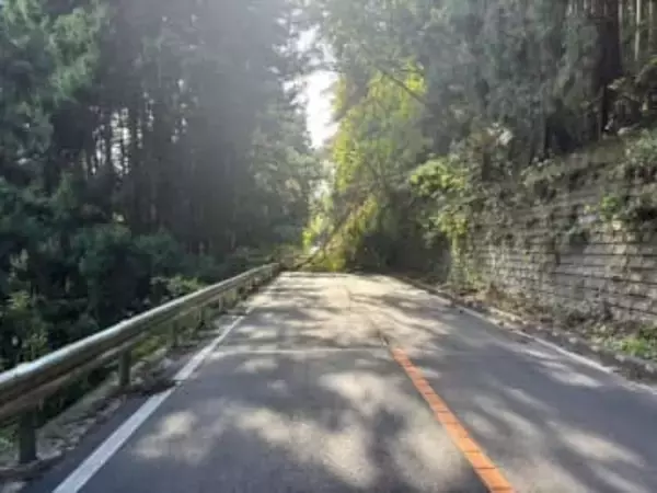 【速報】二口街道に複数の倒木　通行止め続く　仙台市太白区