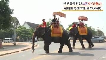 仙台とバンコクが直行便で６時間に　世界遺産や本場グルメなど活気あふれるタイの魅力を現地ルポ