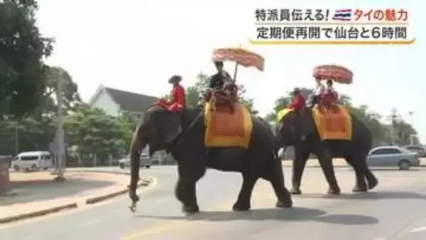 仙台とバンコクが直行便で６時間に　世界遺産や本場グルメなど活気あふれるタイの魅力を現地リポ