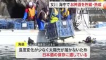 女川の海底でお神酒となる日本酒熟成へ　金蛇水神社と佐々木酒造店が企画　新酒６００本を沈める〈宮城〉