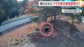 仙台白百合学園にもクマ… １９市町村が「箱わな５８基」を宮城県に要望
