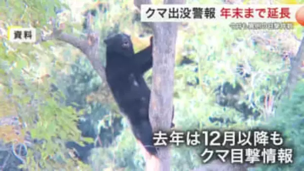 宮城県がクマ出没警報を年末まで延長　１１月の目撃件数は過去平均の約６倍　引き続き警戒呼びかける