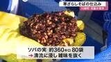 「雑味抜け甘み増す「寒ざらしそば」　川崎町で仕込み本格化　ソバの実３６０キロを清流から引き揚げ〈宮城〉」の画像1