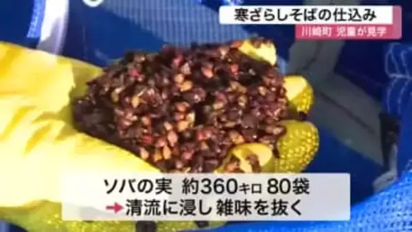 雑味抜け甘み増す「寒ざらしそば」　川崎町で仕込み本格化　ソバの実３６０キロを清流から引き揚げ〈宮城〉