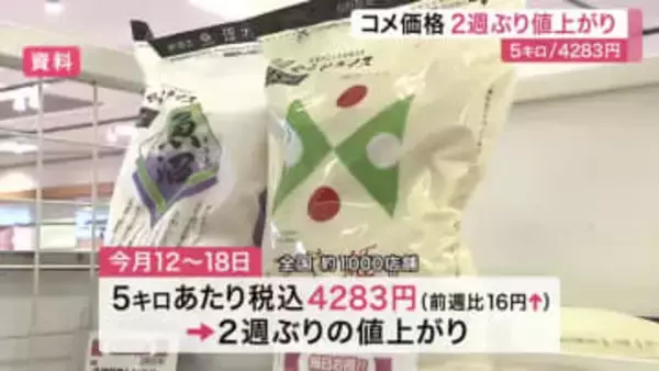 スーパーのコメ平均価格２週ぶり値上がり５キロ４２８３円　相対取引価格下落も高止まり続く