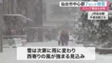 仙台市中心部でも７センチ積雪 スリップ事故少なくとも７０件発生