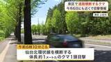 「泉区で道路横断するクマ１頭目撃　付近では目撃情報相次ぐ「同一個体の可能性も」＜仙台＞」の画像1