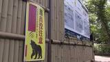 「宮城県内でクマ目撃相次ぐ　岩沼の住宅密集地や仙台城跡付近に出没　栗原署では警察官が対処法を学ぶ」の画像1