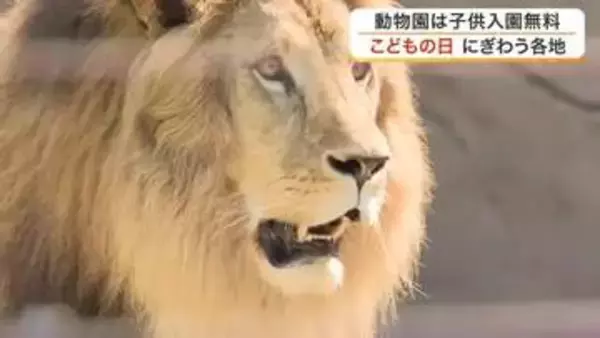 ＧＷ「こどもの日」の宮城県内はお出かけ日和　動物園でふれあい、多賀城でスケボー、南三陸で化石発掘