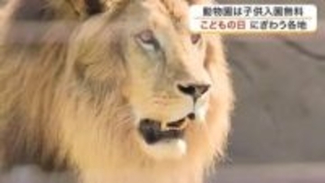ＧＷ「こどもの日」の宮城県内はお出かけ日和　動物園でふれあい、多賀城でスケボー、南三陸で化石発掘