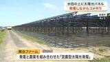 「水田の上に太陽光パネル　美里町で発電とコメ作りを両立する「営農型太陽光発電」の田植えを実施〈宮城〉」の画像1