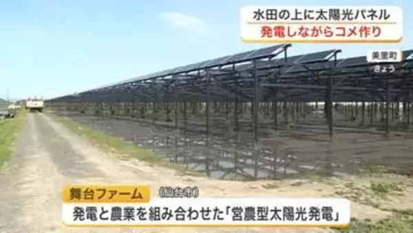 水田の上に太陽光パネル　美里町で発電とコメ作りを両立する「営農型太陽光発電」の田植えを実施〈宮城〉