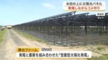 水田の上に太陽光パネル　美里町で発電とコメ作りを両立する「営農型太陽光発電」の田植えを実施〈宮城〉