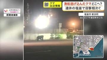 パトカーに追われたクマが漁船に逃げ込み海へ　塩釜市の漁港で騒然　現在も行方不明で注意呼びかけ〈宮城〉