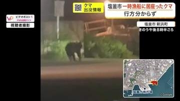 塩釜市で初のクマ目撃　漁船に居座り海へ飛び込み逃げる　漁港から約１キロ離れた茂みで発見も捕獲に至らず