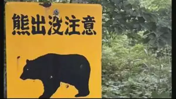 【宮城】東北自動車道築館インターチェンジ付近で走行中の乗用車がクマと衝突　けが人なし