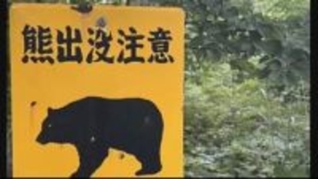 【宮城】東北自動車道築館インターチェンジ付近で走行中の乗用車がクマと衝突　けが人なし