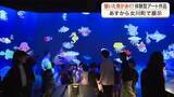 「チームラボ「お絵かき水族館」が女川町で８月２９日から開幕　小学生がひと足早くデジタルアート体験　宮城」の画像1