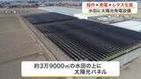 「水田の上に太陽光パネル　美里町で国内最大級の発電設備が始動　隣接するレタス工場の電力８割を供給　宮城」の画像1