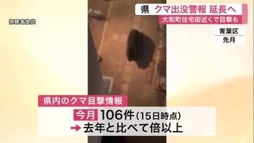 大和町と富谷市の住宅街近くでクマの目撃相次ぐ　宮城県は「クマ出没警報」を延長する方針を固める