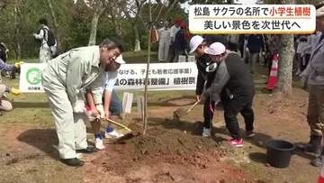満開のサクラと松島湾の景色を次の世代へ　松島町の公園で地元の小学生８５人がサクラを植樹〈宮城〉