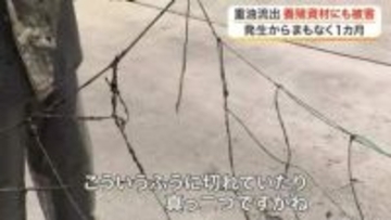 海上保安部巡視船の重油流出問題　七ヶ浜町ではノリだけでなく養殖資材に被害　ノリ育ちすぎて破損〈宮城〉